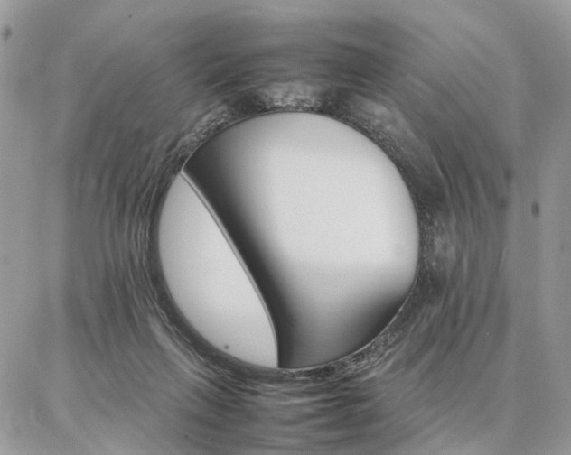 X0000086790263200704131247