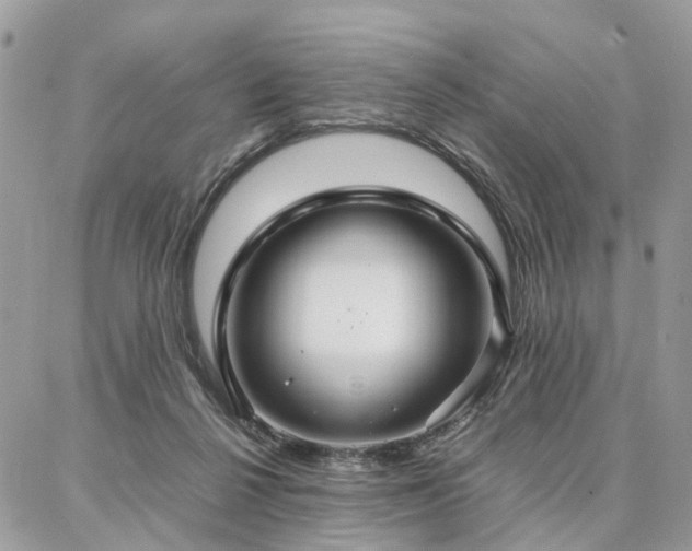 X0000086790264200704131247