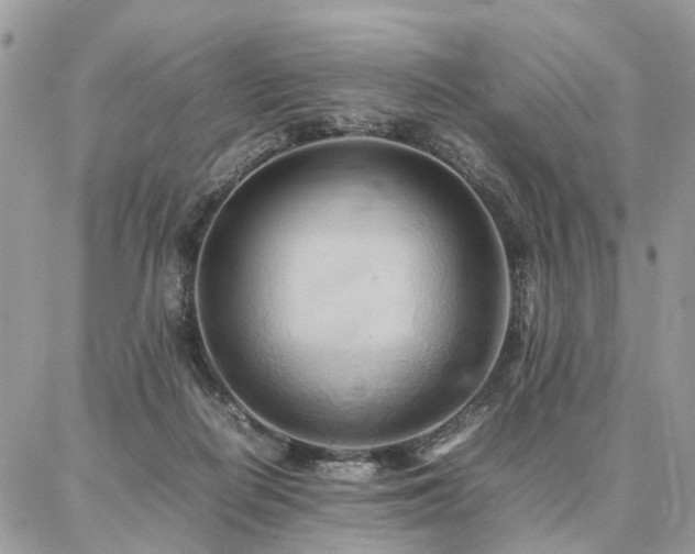 X0000086790266200704131247