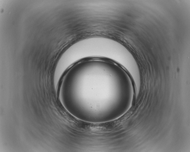 X0000086790268200704131248