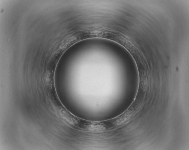 X0000086790270200704131248