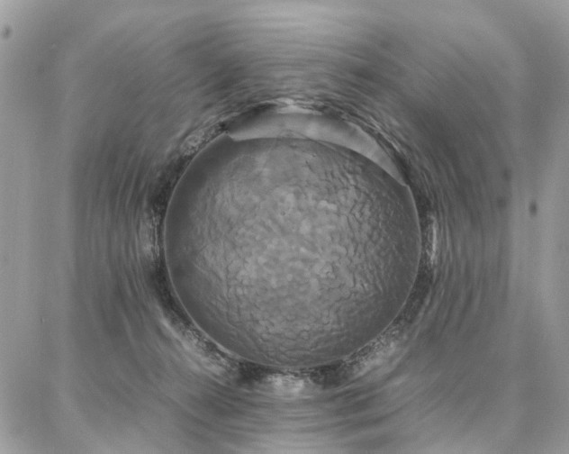 X0000086790272200704131248
