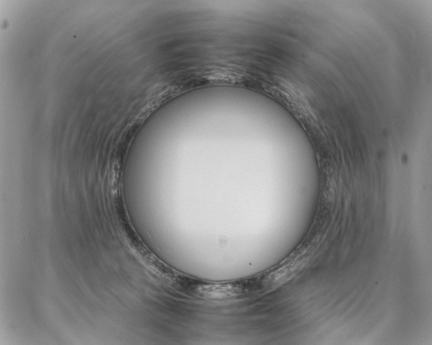 X0000086790273200704131248