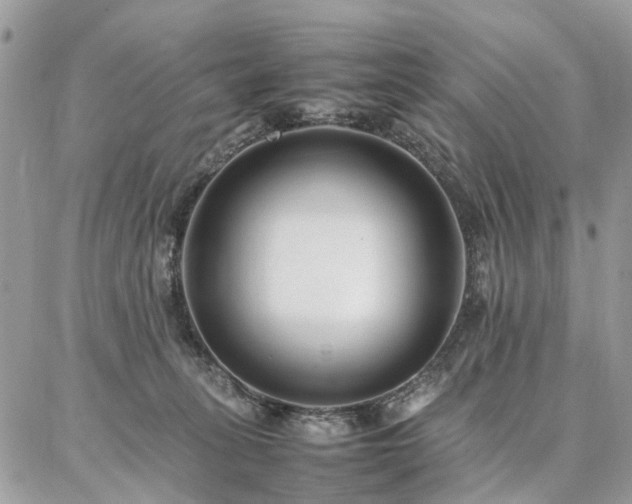 X0000086790275200704131248