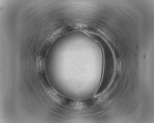 X0000086790276200704131248