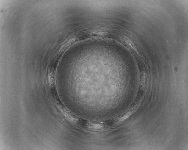 X0000086790285200704131248