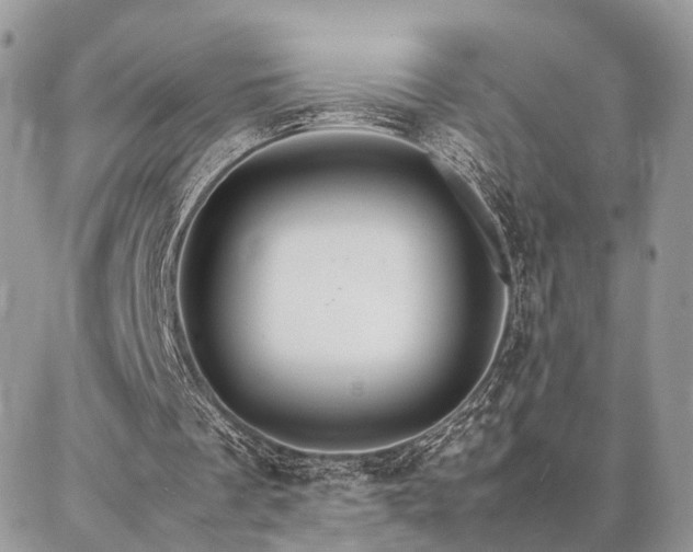 X0000086790289200704131247