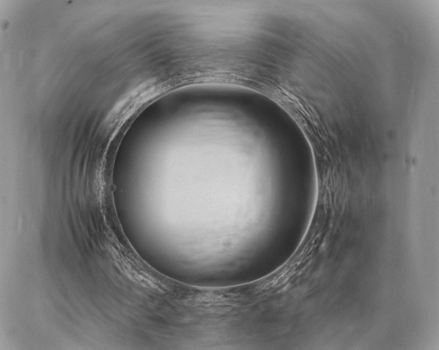 X0000086790290200704131247