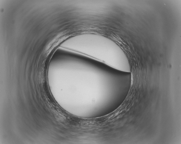 X0000086790291200704131247