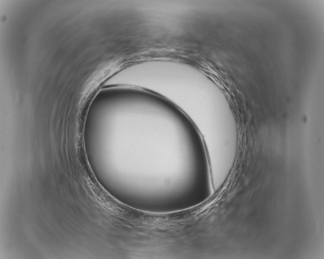 X0000086790293200704131247