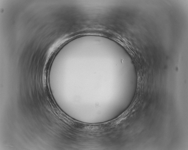 X0000086790294200704131247