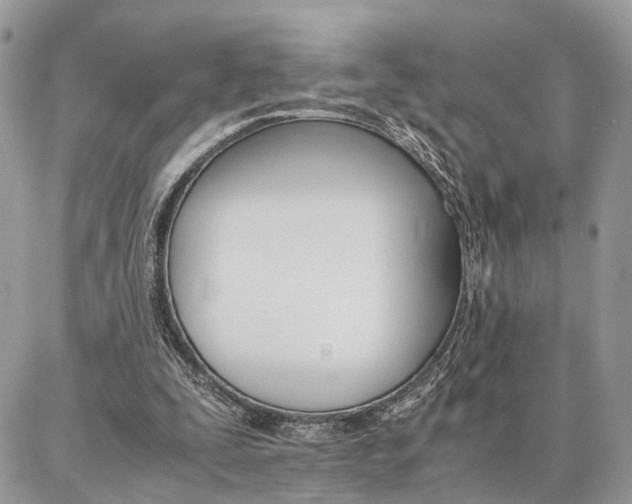 X0000086790295200704131247