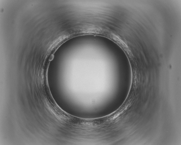 X0000086790298200704131247