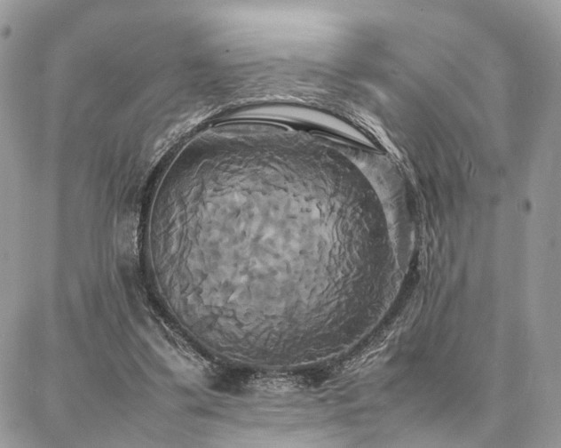 X0000086790299200704131247