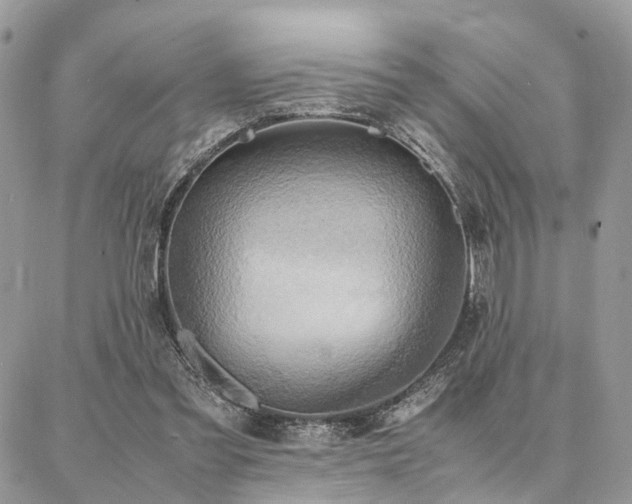 X0000086790301200704131247