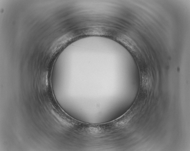X0000086790302200704131247