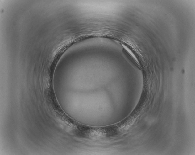 X0000086790303200704131247