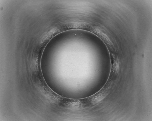 X0000086790306200704131247