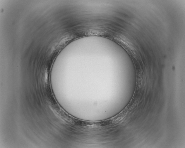 X0000086790310200704131247