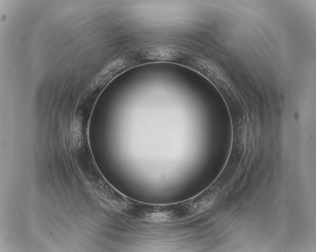 X0000086790312200704131247