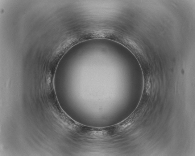 X0000086790314200704131247