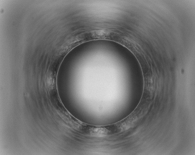 X0000086790324200704131246
