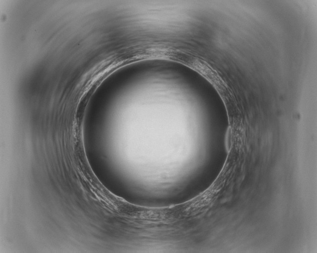 X0000086790338200704131245
