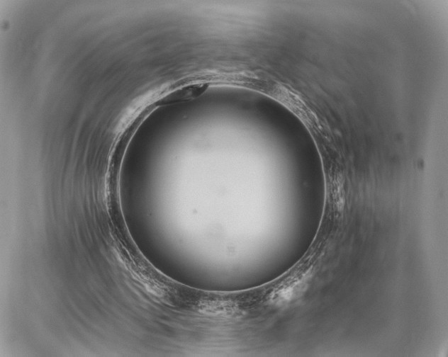X0000086790340200704131246
