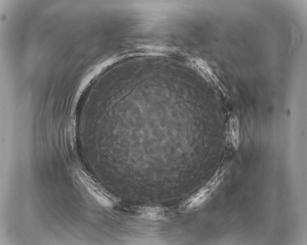 X0000086790342200704131246