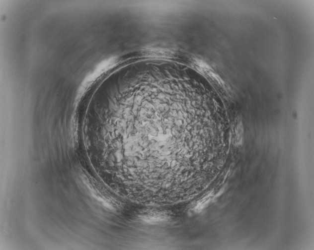 X0000086790343200704131246