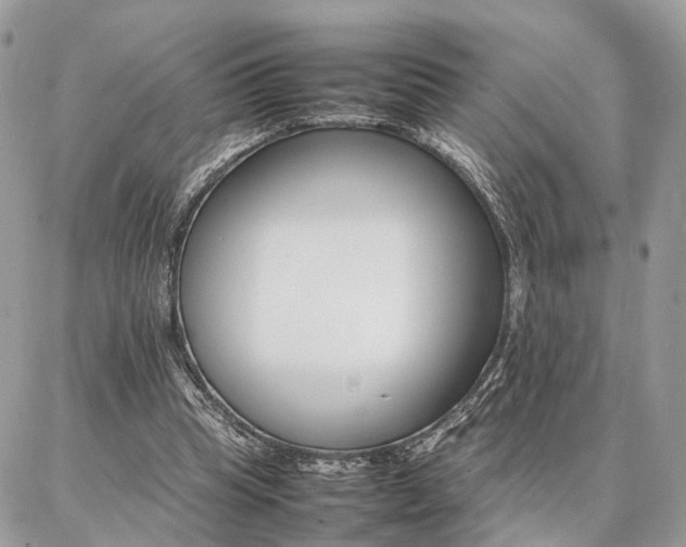 X0000086790345200704131246
