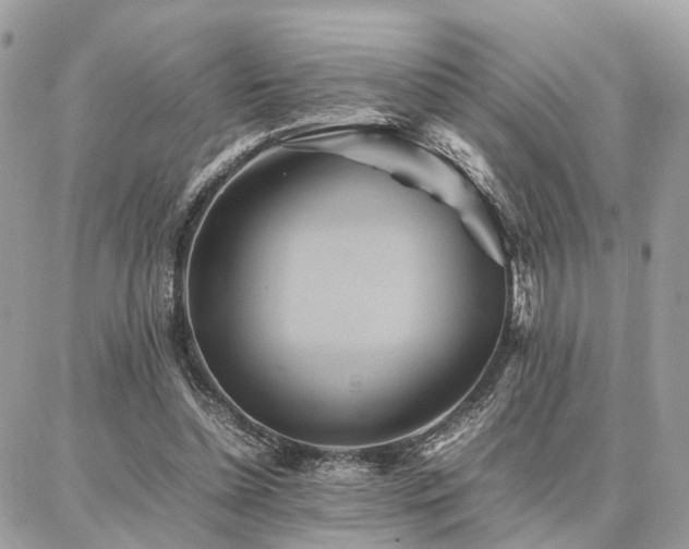 X0000086790348200704131246