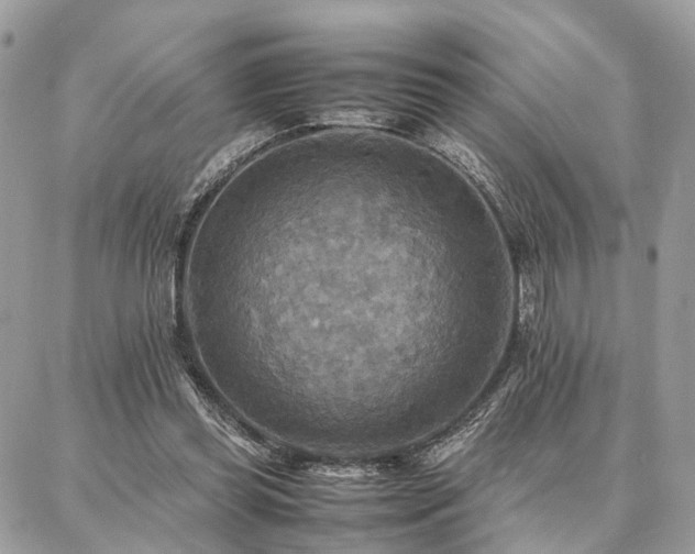 X0000086790349200704131246