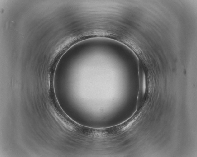 X0000086790350200704131246