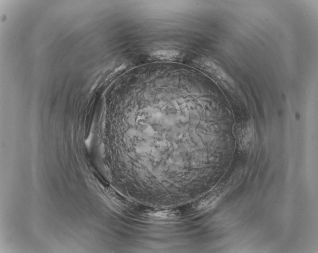 X0000086790365200704131246
