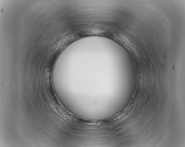 X0000086790366200704131246