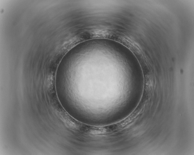 X0000086790369200704131246