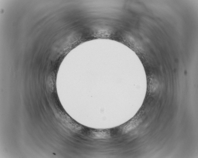 X0000086790370200704131246