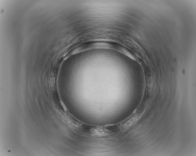 X0000086790372200704131246
