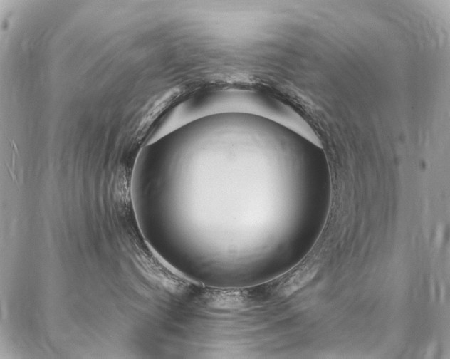 X0000086790384200704131246