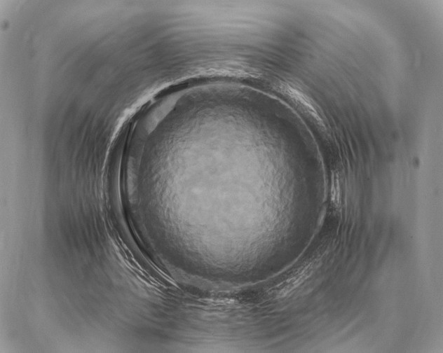 X0000086790388200704131245