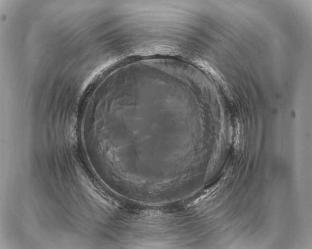 X0000086790392200704131245
