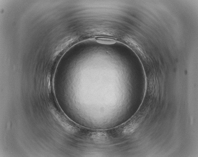 X0000086790398200704131245