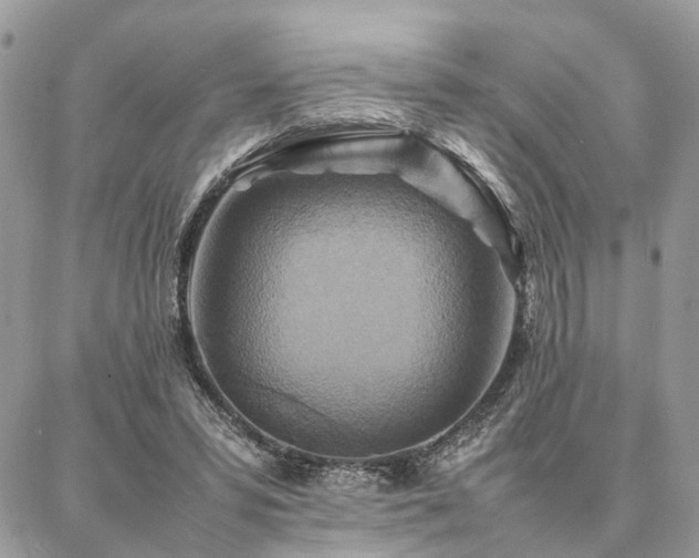 X0000086790399200704131245