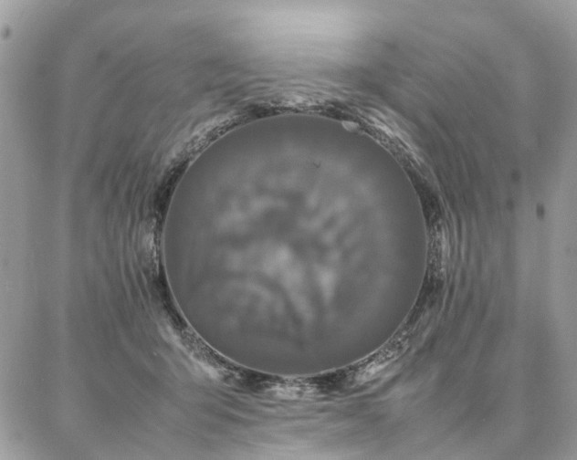 X0000086790415200704131245