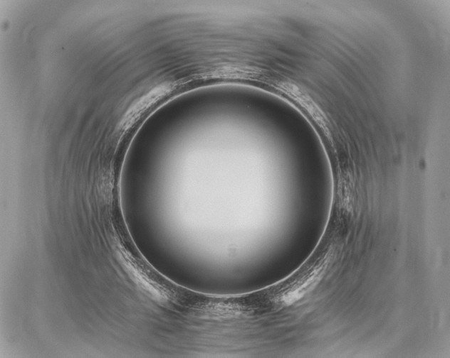X0000086790437200704131244