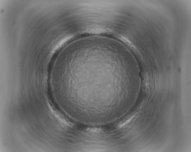 X0000086790440200704131244