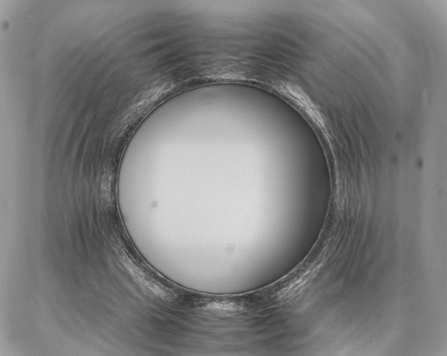 X0000086790441200704131244