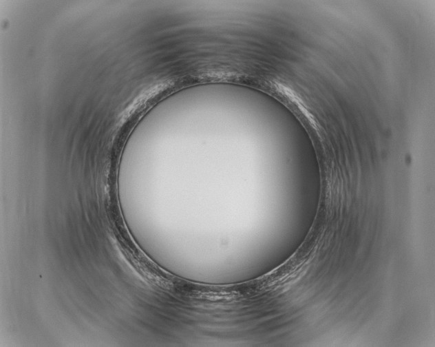 X0000086790443200704131244