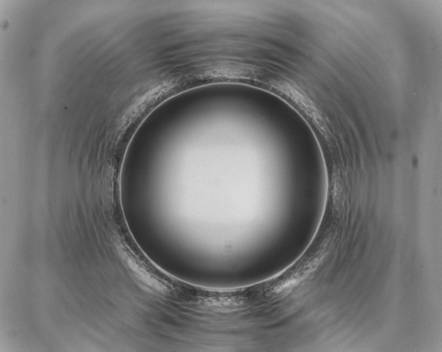 X0000086790445200704131244